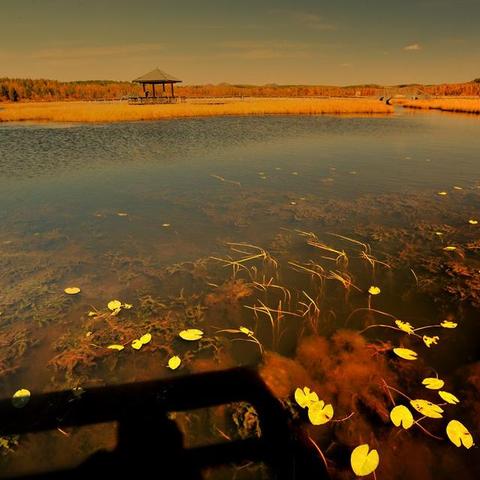 红色沙漠全球解锁时间表公布 可离线游玩解决玩家联网困扰