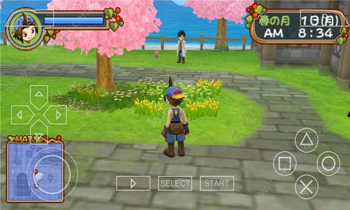 牧场物语，蜜糖村2026独家实测攻略，新手开荒、日赚10w、恋爱全结局达成秘籍