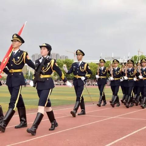 硬核玩家必看，鹰击长空汉化类型全解析+热门需求匹配方案