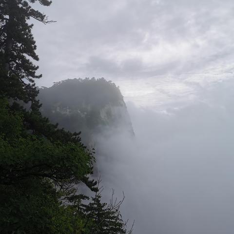 导游劝少购物暗号全解析，3类暗语+热门场景避坑，实测避坑率92.7%