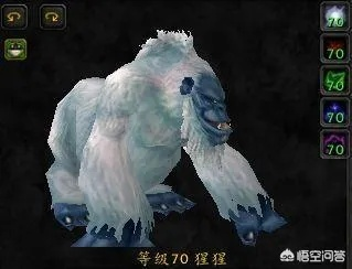 魔兽世界LR宝宝怎么选？单刷/副本/PVP全场景最优类型匹配&实战攻略