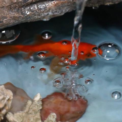 传奇1.76复古版老玩家私藏攻略，开荒打金、职业搭配、隐藏地图避坑指南