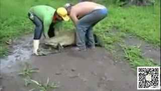 云南猴子生啃见手青，3种中毒幻觉类型拆解+热门猎奇需求下的自救避坑指南