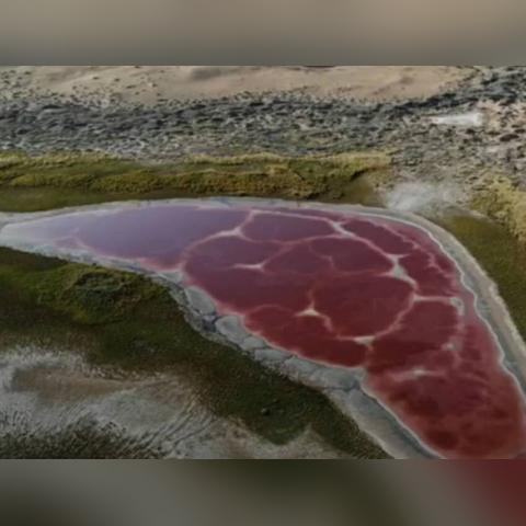 红色沙漠首次启动需联网 之后可离线游玩