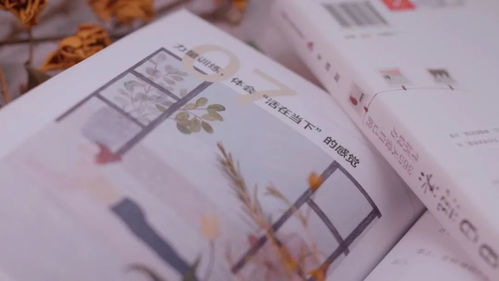 2026年信之港实战指南，3天刷满货郎身份+日入10万铜币的独家技巧