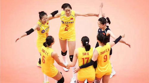 粒粒的小人国3.19开测！2026必冲的生活模拟新高度