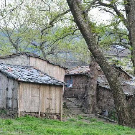 泪之呼唤硬核开荒全攻略，魂系新人速通前期的5个关键+BOSS弱点拆解