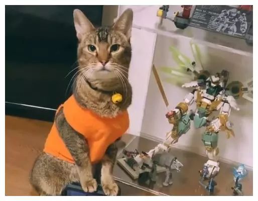 黑白猫性感优雅获粉丝盛赞 漫威争锋角色设计恰到好处