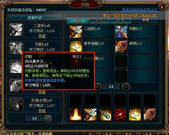 龙魄分哪几种类型？2026实测匹配热门需求，精准搭出T0战力