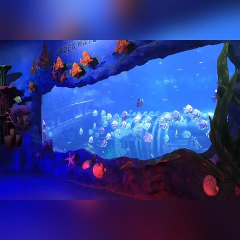 3月18日Steam抢先体验开启！像素沙盒RPG风屿奇航邀你启航