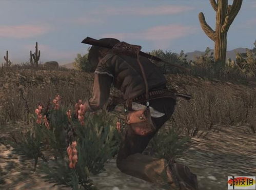 荒野大镖客，赎罪怎么玩透？新手避坑、隐藏触发、荣誉系统硬核玩法全解析