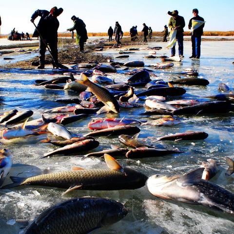 盛大官网怎么用最省心？怀旧服入口、新游资格、账号修复等高频需求一站式搞定