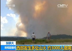 DLSS 4首发护航红色沙漠 多帧生成畅玩新作