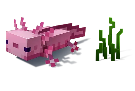 我的世界美西螈怎么驯服？全类型解析+热门玩法实战指南