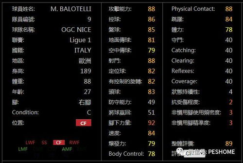 副本插件选不对=白肝？2026年类型划分+热门需求匹配实战攻略