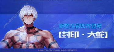 拳皇OL官网独家解析，真假入口甄别、2026测试资格速抢及MMO玩法全揭秘