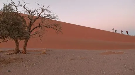 红色沙漠获外媒满分 称树立开放世界新标杆