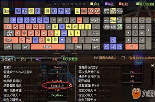 2026DNF体验服补丁怎么选？类型拆解、热门需求匹配与实战避坑全攻略