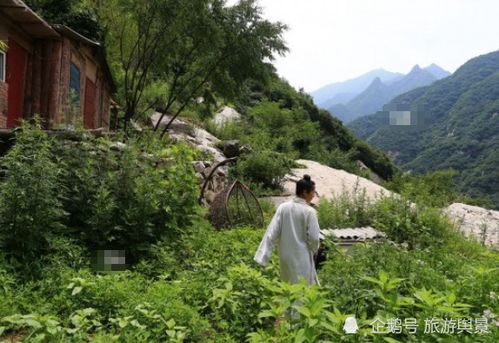 终南山隐居真相，4类隐居者的生存密码，普通人入行避坑指南