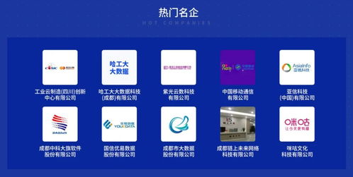 2026最新，盛大在线客服全类型拆解+热门需求精准解决方案