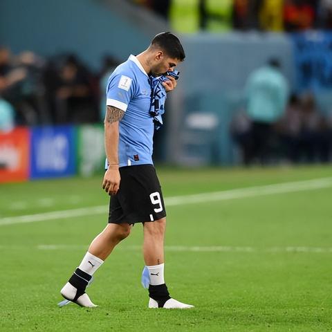 94偷牧卡组2026完全攻略，组卡思路、操作细节与全职业对阵技巧