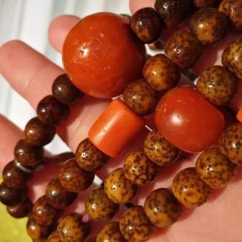 3月27日口袋西游重启！新服「菩提」预约开启，老友回归即领专属福利