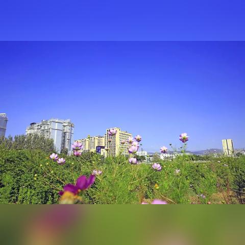 2026天堂金币全攻略，类型拆解、赚金技巧与安全交易避坑指南