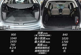 班尼福特类型玩法全解析，低底盘车定制、竞速优化与收藏避坑指南