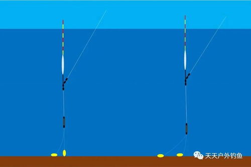 2026独家野钓爆护秘籍，选位调漂用饵全拆解，新手3小时上鱼超15斤