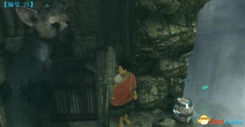 玩最后的守护者总卡关？独家全攻略，大鹫互动+解谜+隐藏收集一次性搞定