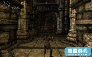 陶德，上古卷轴5付费Mod的核心症结，是玩家不愿购买