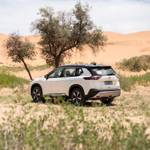 玩家吐槽红色沙漠冲刺操作难用，Mod社区已出手修复