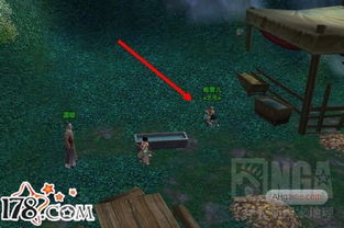 剑网3苍山洱海余庆应，单刷通关、成就速拿、隐藏掉落全指南