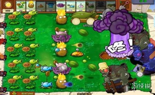 植物大战僵尸花园战争22026全攻略，角色排行、上分套路、隐藏玩法一网打尽
