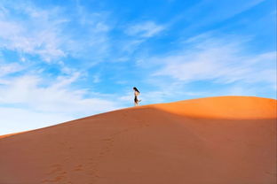 曾因红色沙漠评价不一而窃喜，现博主却因评价回升在俄罗斯破防