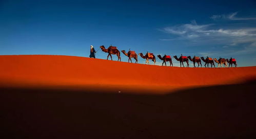 红色沙漠脏话争议，中世纪设定为何出现现代用词？