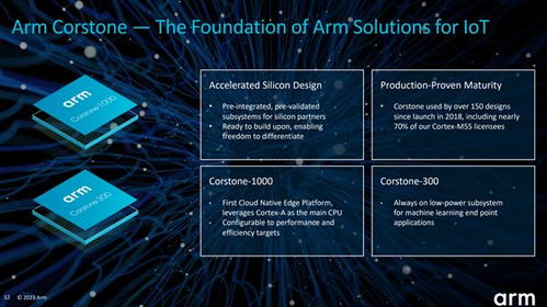 Arm China发布玲珑VPU IP，智能驾驶、机器视觉、云游戏的关键驱动力