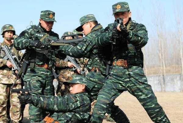 2026年特种部队类型怎么选？精准匹配热门战术射击需求的实战指南