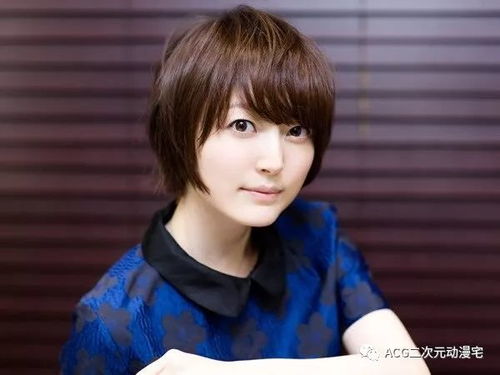 深町寿成、石谷春贵、土岐隼一等人气声优确认参演！《心象演算》Steam商店页面现已公开！