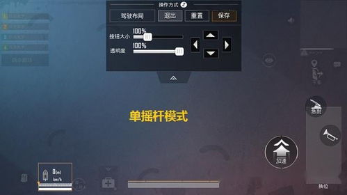 2026S16国服前十狗熊亲授，双路线碾压攻略 秒解对线痛点