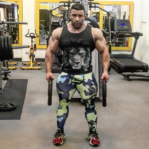 波斯王子3配置类型怎么分？适配2026年热门需求的丝滑运行全指南