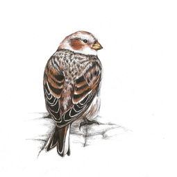 3D横板动作肉鸽SlashZero27号首测，5000资格手慢无！