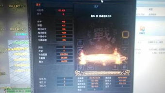 独家拆解2026传世2私服类型，匹配热门需求，避坑打金全攻略