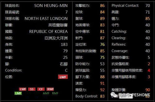 2026年TOP3热门网游类型拆解，精准匹配玩家核心需求的实战攻略