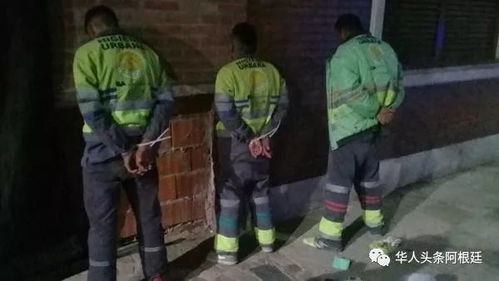 犯罪现场清洁工更新，5个新区域场景等你清理