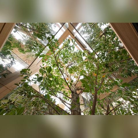 DNF全13套天空套类型拆解，颜值天花板、平民首选、情怀款怎么选？