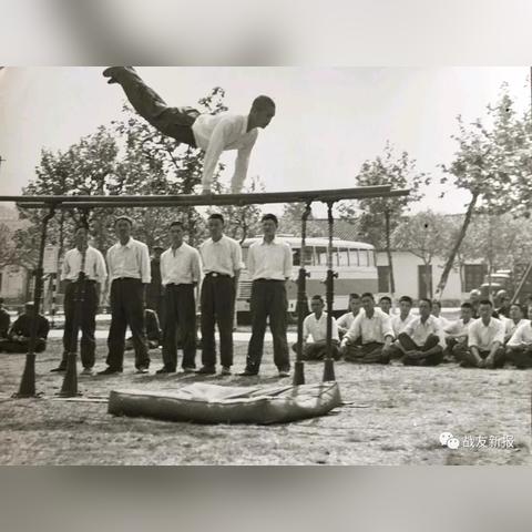 荒野部落3大核心类型深度拆解，新手选对部落，3天快速开荒称霸全攻略