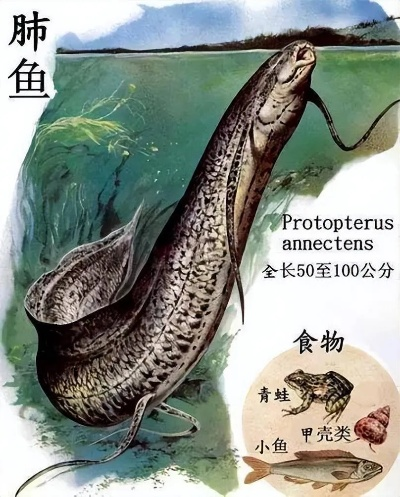 生存游戏含肺鱼全类型解析，驯服、实战、养殖，玩家进阶必备攻略