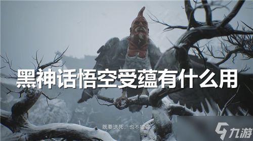 黑神话，悟空新手开荒终极指南，魂类机制适配、BOSS逃课+隐藏剧情全解析