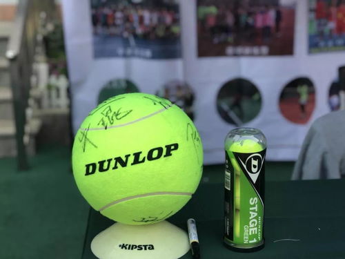 VR网球4怎么下载才靠谱？2026实测全类型版本适配&避坑指南